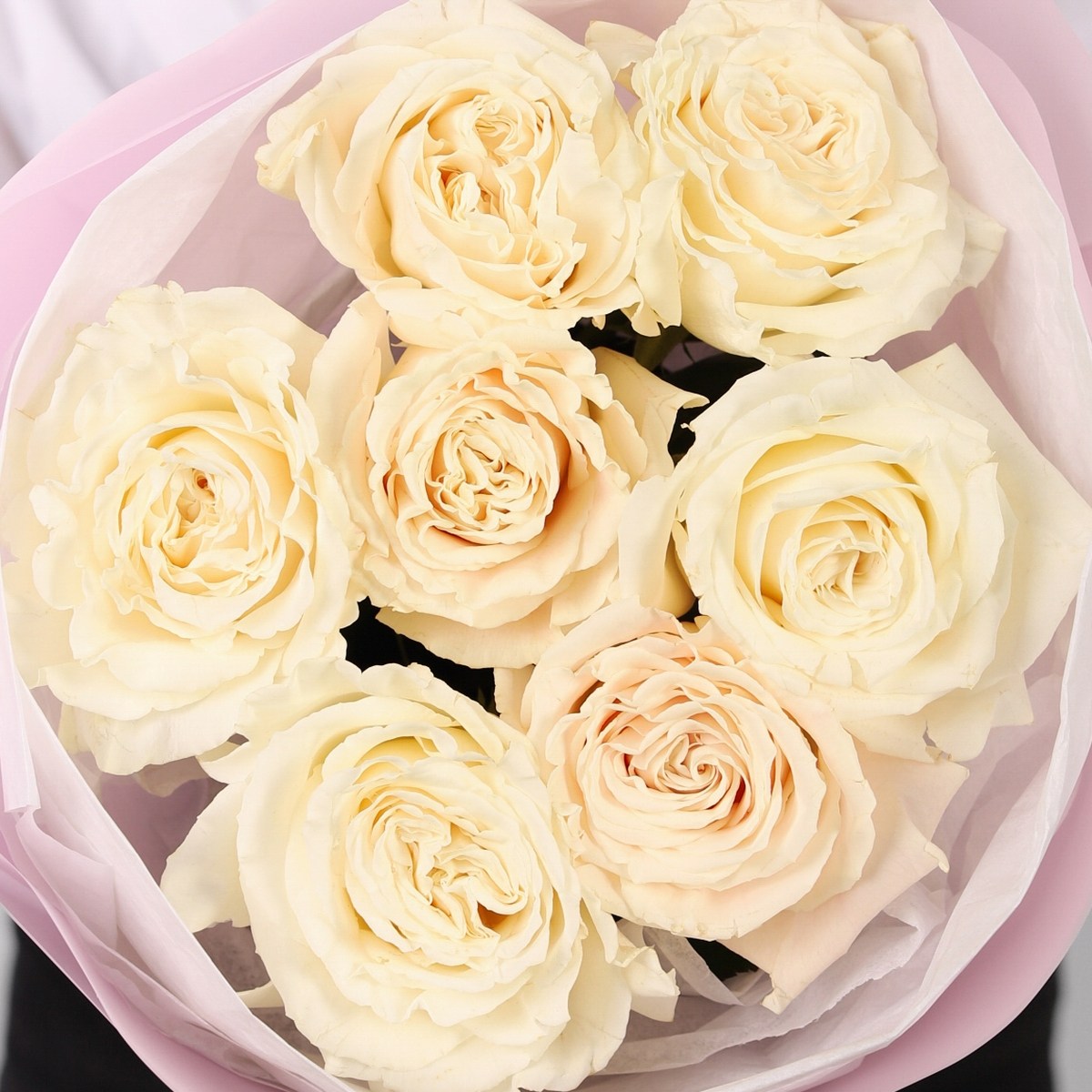 7 belyh roz 725